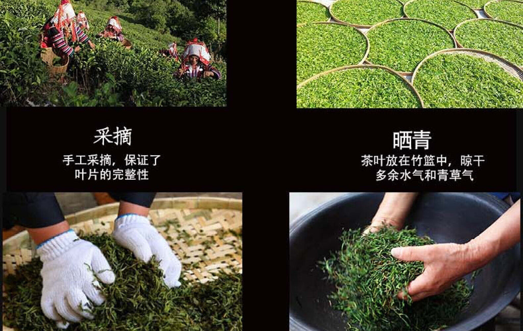Yunnan Tea Iceland Laozhai First Spring Reserve Pu'er Raw Tea 357g Cake Tea
