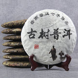 357g Lincang Iceland Gold Leaf Tea Seven Seed Cake Tea Old Tree Puerh Tea