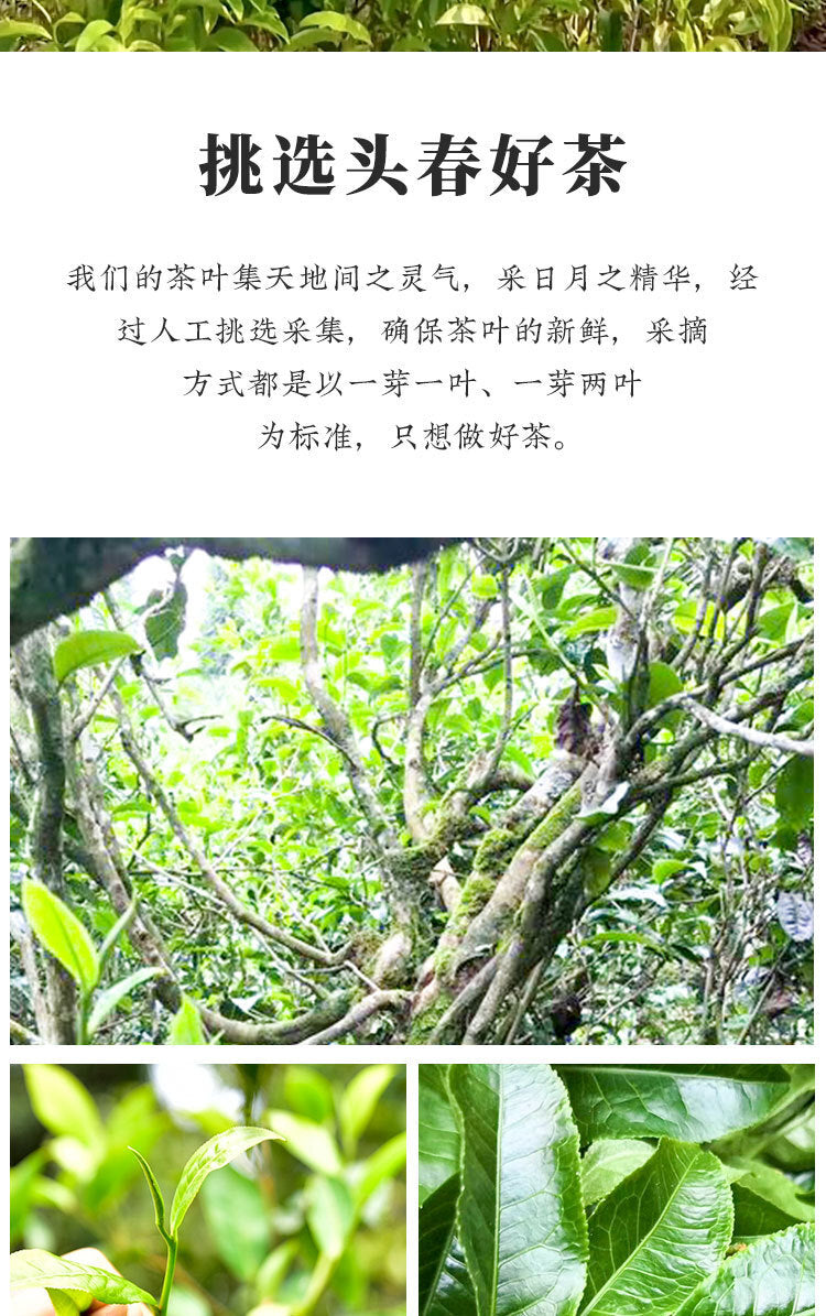 Yunnan Pu'er Raw Tea Cake Brown Mountain Old Tree Round Tea Exclusive Edition