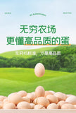 Salted Boiled Eggs Tiger Skin Flavor Snack 30g x 20 Pieces
