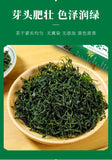 Sichuan Qing Mountain Yibin Small Leaf Kuding Green Tea: Health Benefits