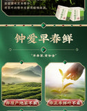 Premium Handcrafted Maojian Green Tea Authentic High Mountain Spring Tea 50g Can