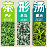Top Grade Biluochun Pre Qingming New Tea Authentic High Mountain 100g