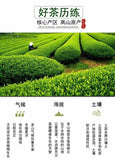 Biluochun New Tea Suzhou Dongting Biluochun Tea Leaves Spring Tea Green Tea 250g