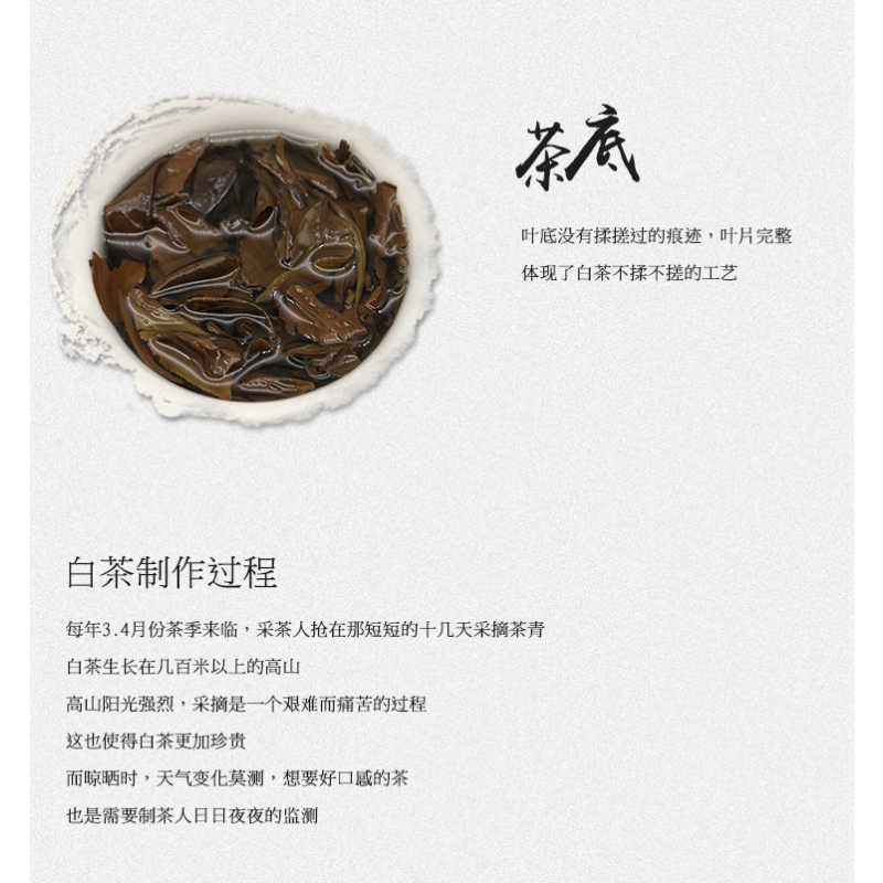 White Tea Fuding White Tea Shou Mei Tea Cake Gift Tea100g*3 Alpine Sun Date