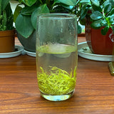 Wild Tea Buds 50g Canned Zhangjiajie Vine Tea Tujia Mao Rock Bud Tip Vine Tea