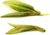 250g / 8.8oz Nonpareil Supreme Xihu Longjing Dragon Well Dragonwell Spring Green