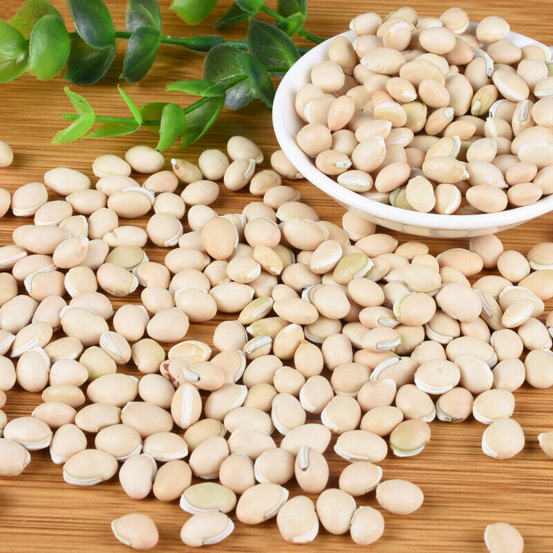 New White lentils Selected medicinal lentils Tonic herbs Stews 500g/1.1lb