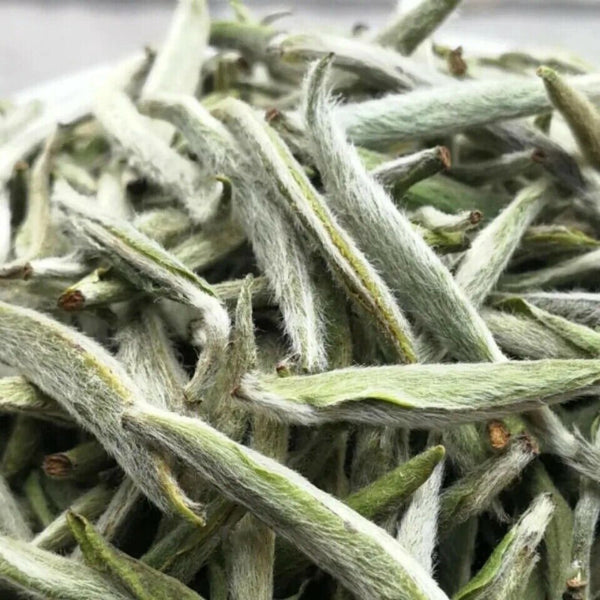 Health  Chinese Premium Silver Needle Fuding White Tea Bud Tea 50g