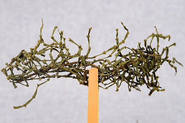 Organic Yunnan Pu'er Tea 500g Loose Tea Healthy Drink