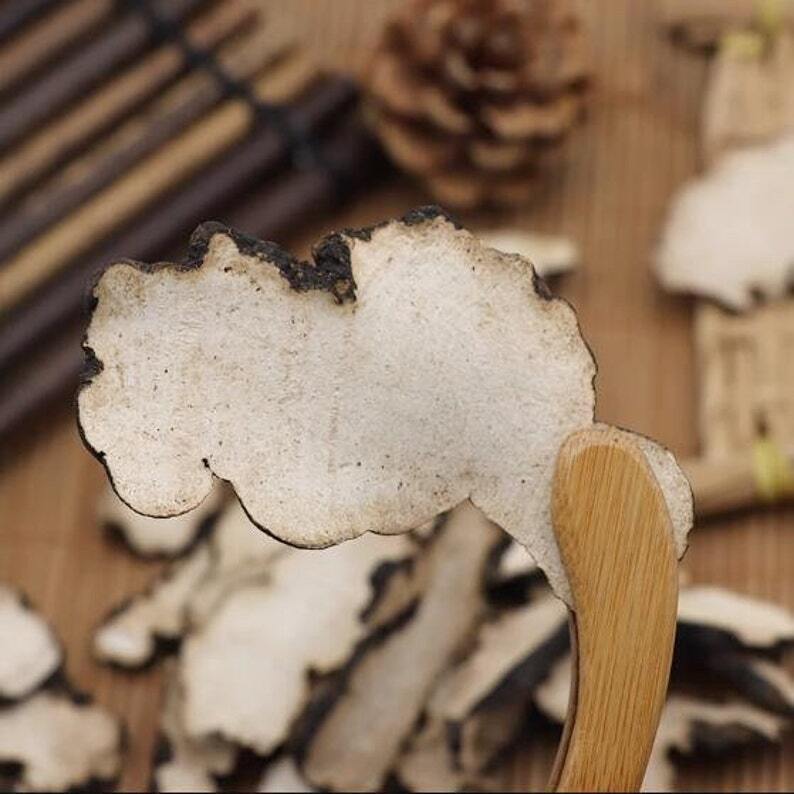 Organic Dried Polyporus Slice, Polyporus Umbellatus, Grifola, Zhu Ling Secondary image