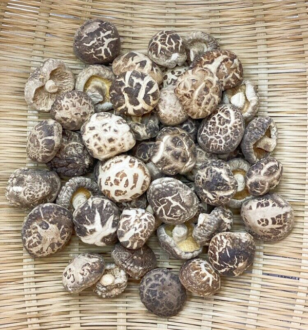 Premium Dried Tea Flower Edible Mushroom Chinese Herbal Fungi Bag Package 250g