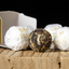 Pu'er Tea Dragon Ball Yunnan Specialty Yunnan Pu'er Tea 210g/7.40oz