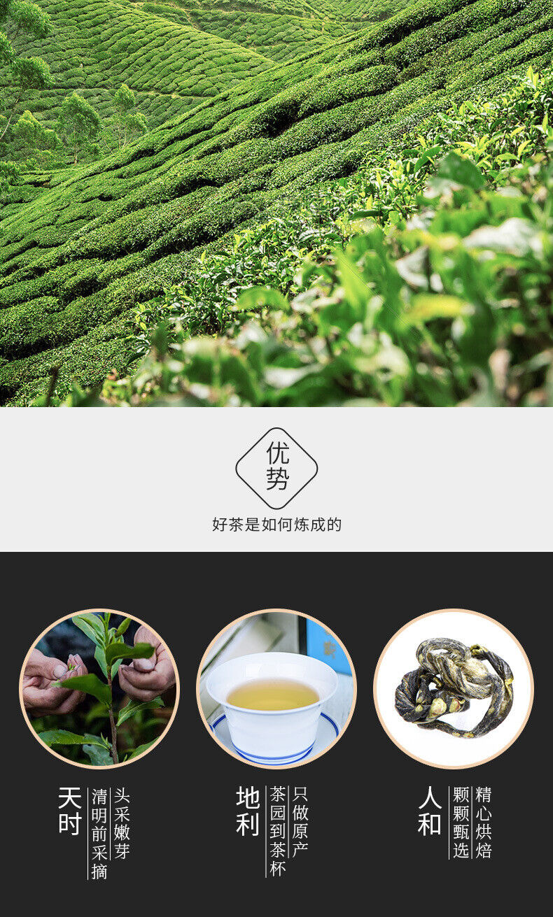 Bi Luo Chun Special Offer Boxed Jiangsu Green Tea Ming Qing New Tea 80g/16packs