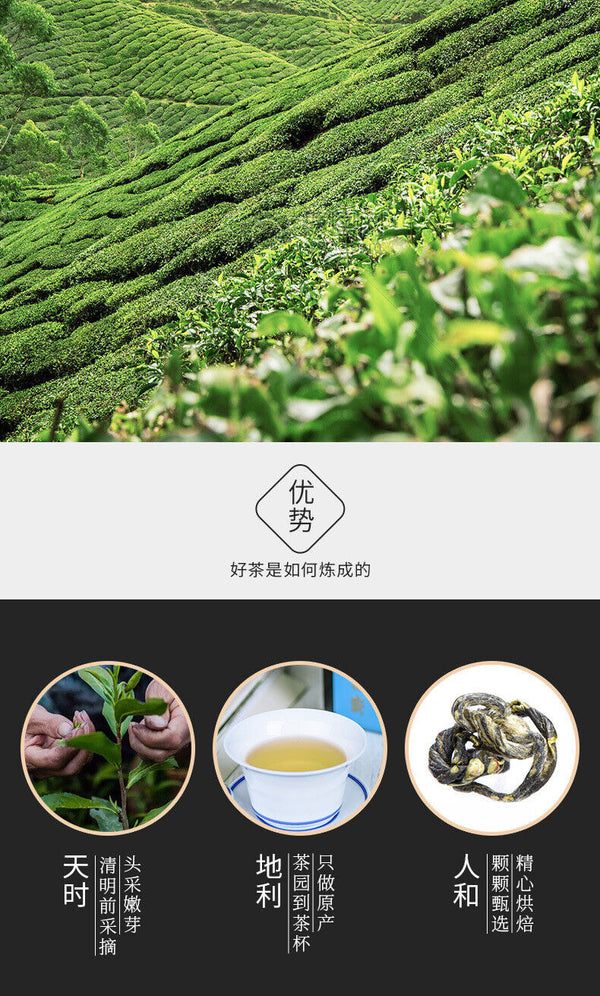 Bi Luo Chun Special Offer Boxed Jiangsu Green Tea Ming Qing New Tea 80g/16packs