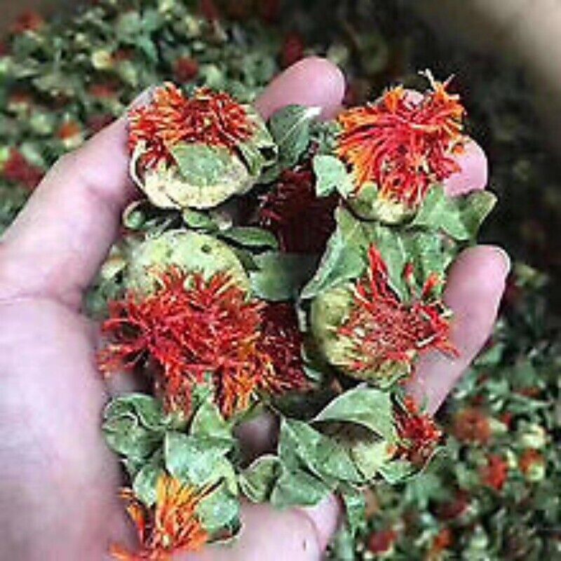 Saffron Fruit Saffron Tibetan Saffron Fruit Western Saffron 500/1.1lb