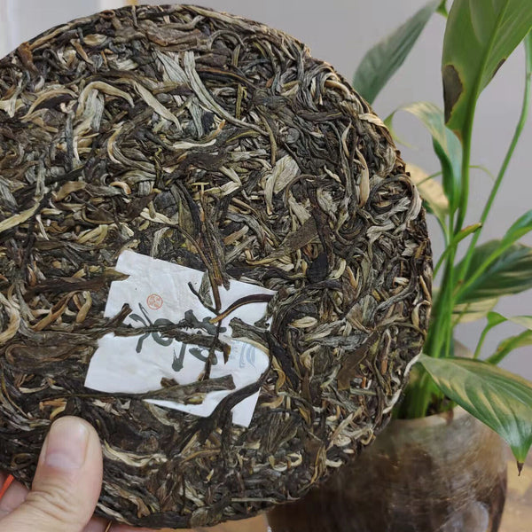 Puerh Raw Tea Cake Yunnan Iceland Old Tree Tightly Pressed 357g