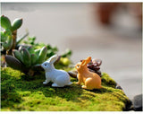 Moss Micro Landscape Deco Garden Mini 3pcs Rabbit Bottle Decoration Supplies