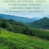 Anxi Tieguanyin New Tea Orchid Scent Oolong Tea Spring Tea Fresh Tea Authentic
