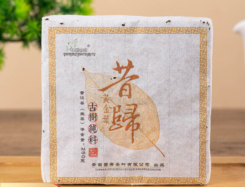 250g Xigui Golden Leaf Puerh Raw Tea Brick Yunnan Ancient Tree Pu'er Tea Main image