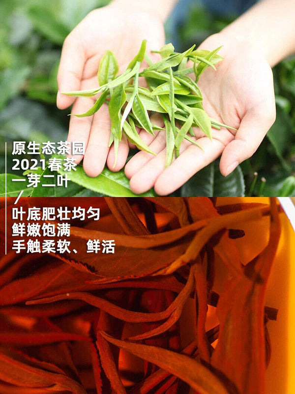 Yingde Black Tea Yinghong No.9 Tea Selected 500g Strong Flavor Slightly Sweet