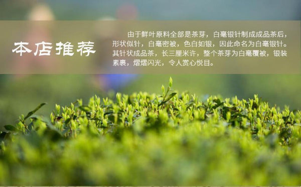 Premium Silver Needle White Tea Chinese Bai Hao Yin Zhen Loose Tea 75g Tin