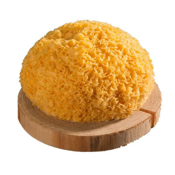 250g Dried White Fungus Snow Fungus Natural White Fungus Without Any Processing