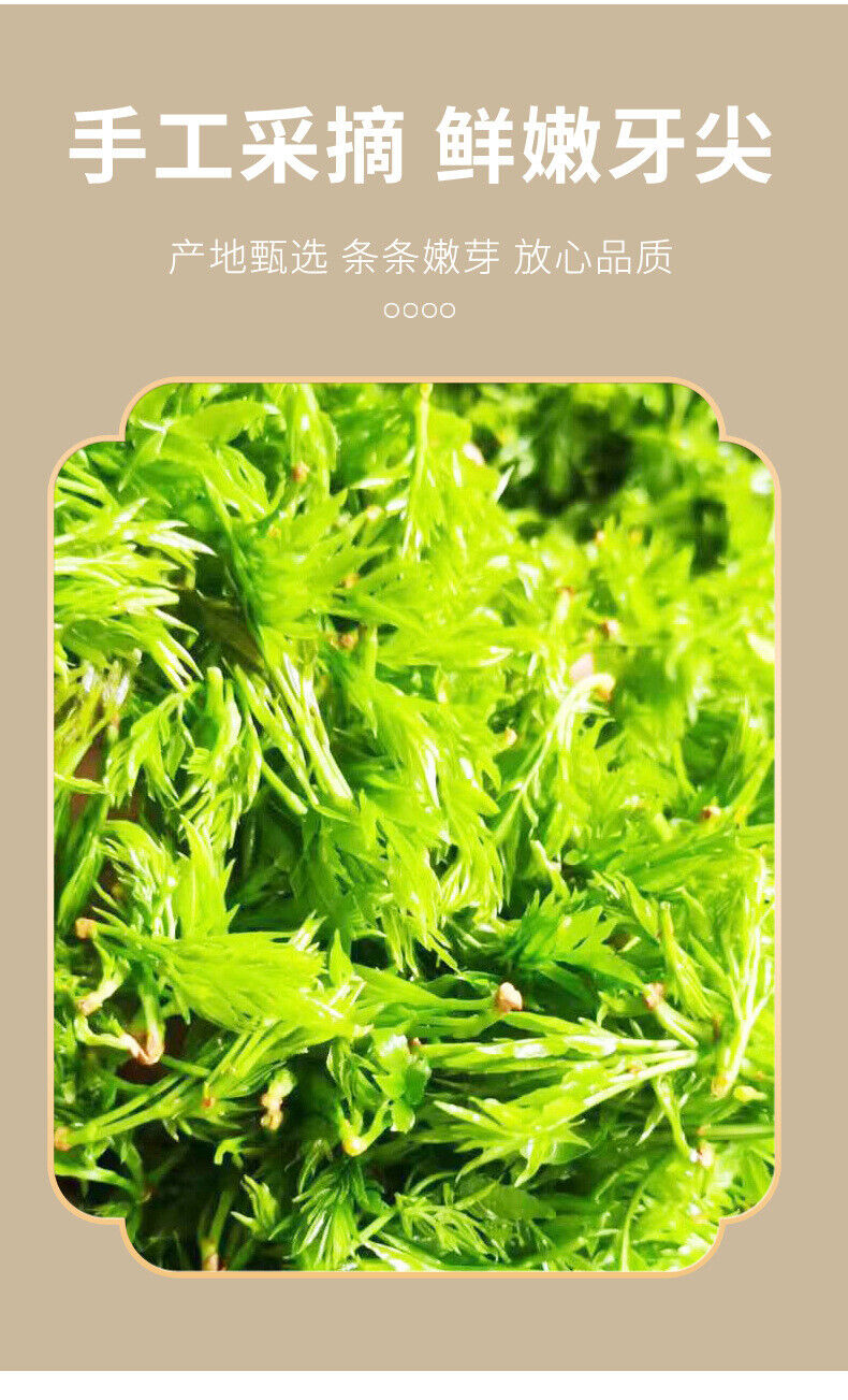 Zhangjiajie Berry Tea - Canned Tujia Meoyan Tea Tips & Vine Herbal Drink