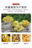 Chicken Oil Mushroom Direct Supply Yunnan Specialty Yellow Silk Mushroom Soup