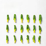 60g Selected from Jiangxi Lotus Core Lotus Heart Tea Canned and Bagged