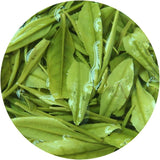 100g / 3.5oz Supreme Spring Anji Bai Cha White Loose Leaf Chinese Green Tea