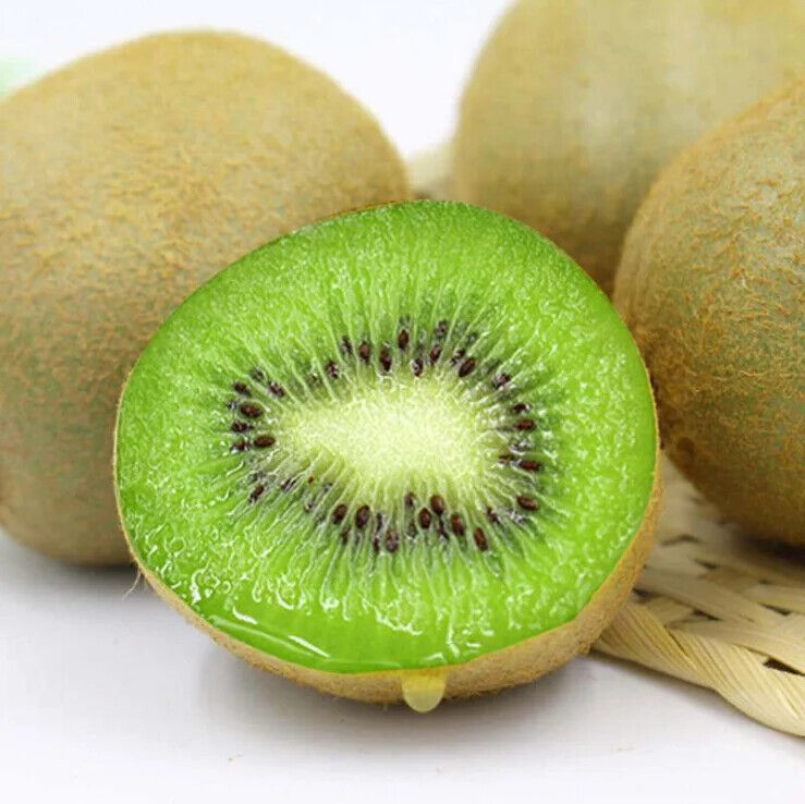 Natural Organic Dried Freeze Concentrate Kiwi Fruit Powder for beverage