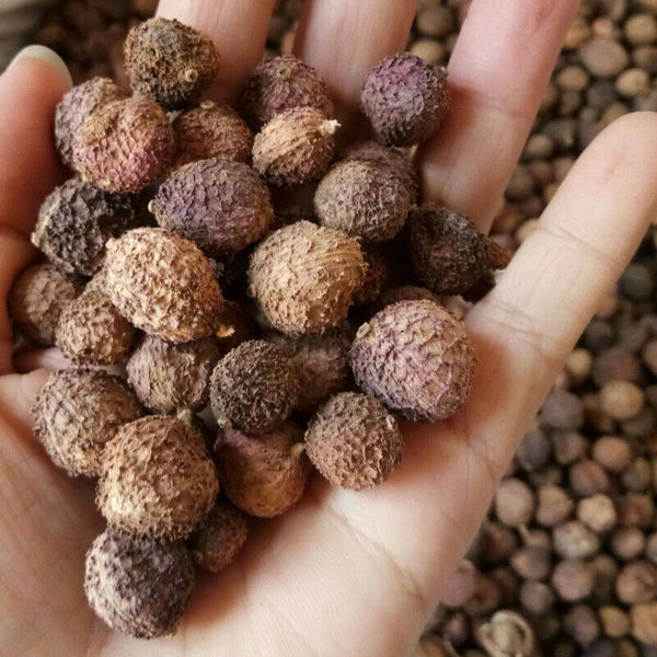 100g Chun Sha Ren Spring Sandnut Dried Fruit Healthy Herbal Tea 煲汤泡茶 泡酒养胃养生茶调理肠胃