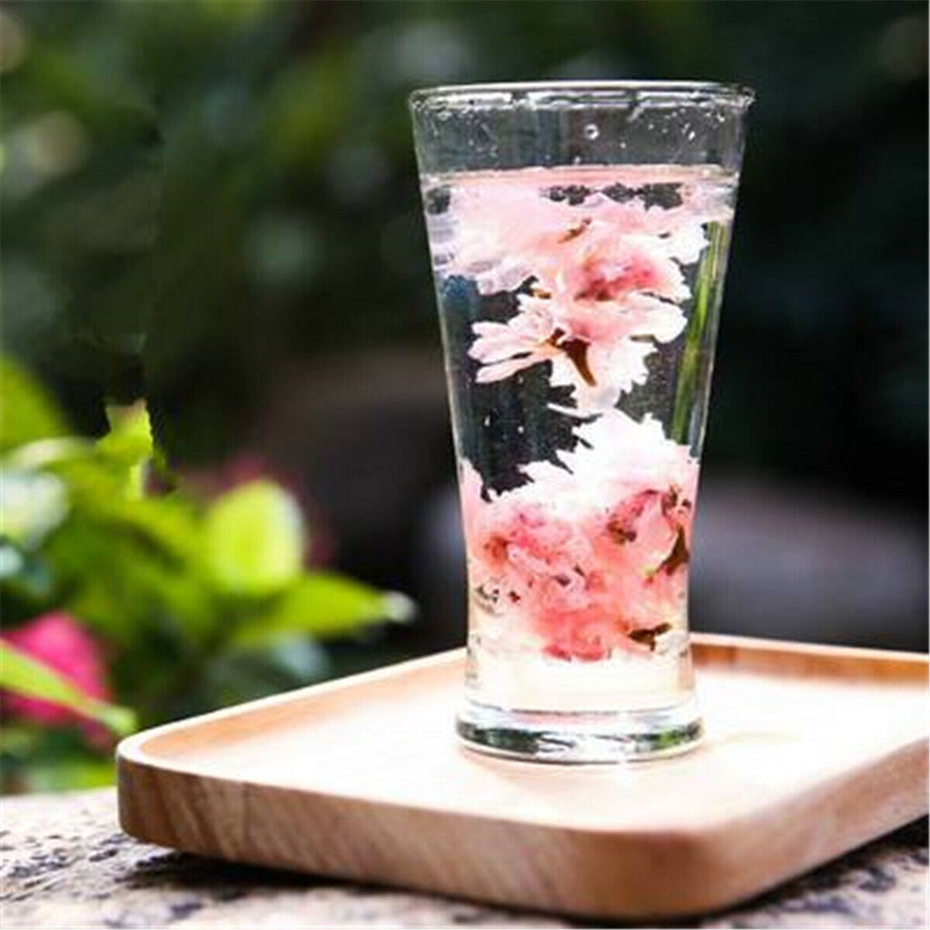 Weißer Tee Japanese Salted Sakura Cha Pink Cherry Blossoms Traditional Preserved