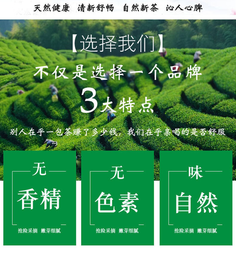Rizhao Green Tea New Tea Strong Fragrance and Brewing Resistance 500g/1.1lb