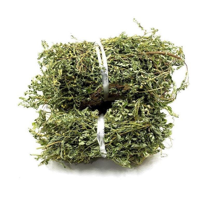 Herba Dried Phyllanthi Urinariae, Underleaf pearl, Phyllanthus urinaria Linn