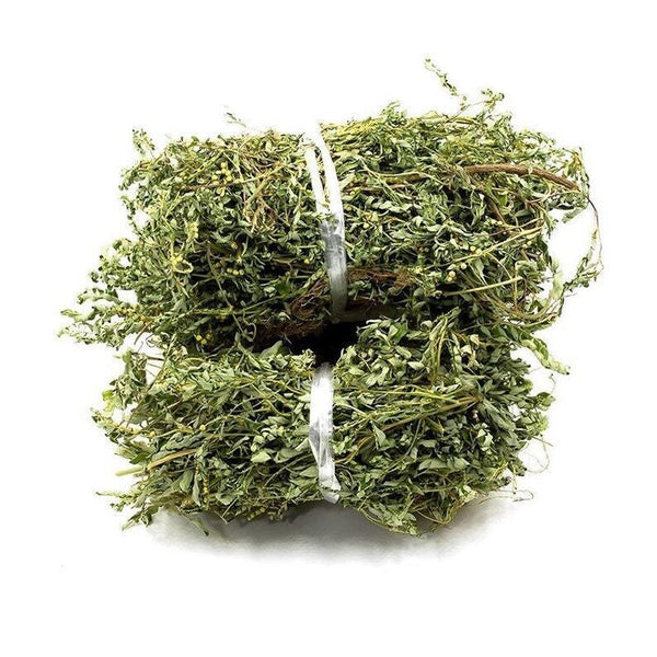 Herba Dried Phyllanthi Urinariae, Underleaf pearl, Phyllanthus urinaria Linn