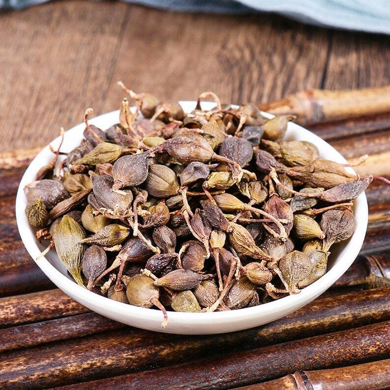 Recommend Dried Weeping Forsythiae Capsule Premium Fructus Forsythiae Main image