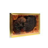 Black and Purple Reishi Mushroom Gift Box Whole Stem Ginseng