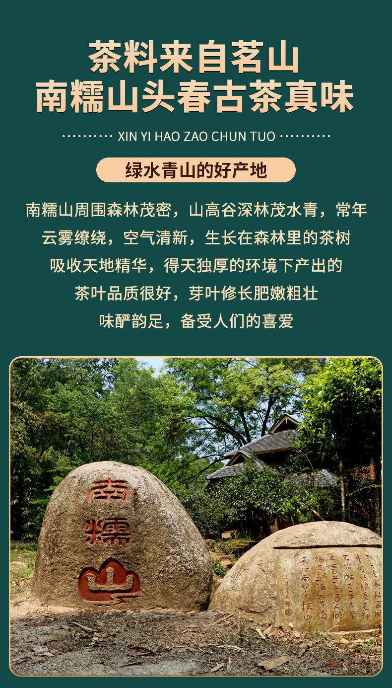 Pu'er Tea Raw Tea Early Spring Tea Big Tree Small Tuo Tea Yunnan Raw Pu'er 500g