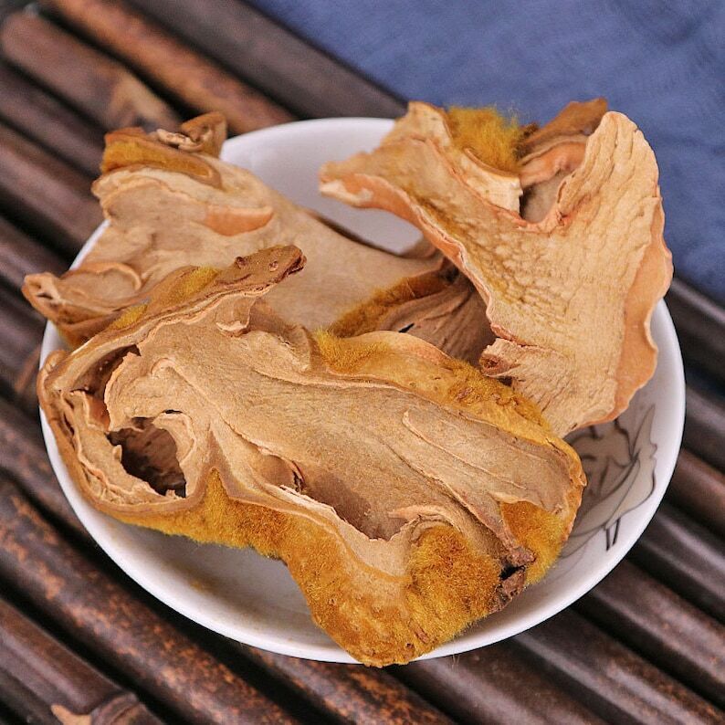 Recommend Rhizoma Cibotii, Cibotium Barometz, East Asian Tree Fern Rhizome Main image