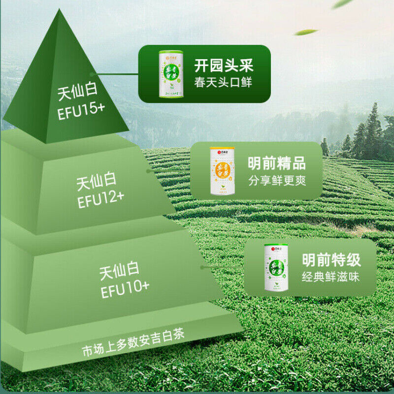 100g Anji Baicha White Tea Early Spring Green Tea One Bud One Leaf Chinese Tea Secondary image