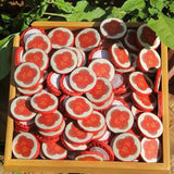 Mini Puerh Tea Cake 6g Raw Puerh Bing Cha Bingdao Sweet Tea Cake