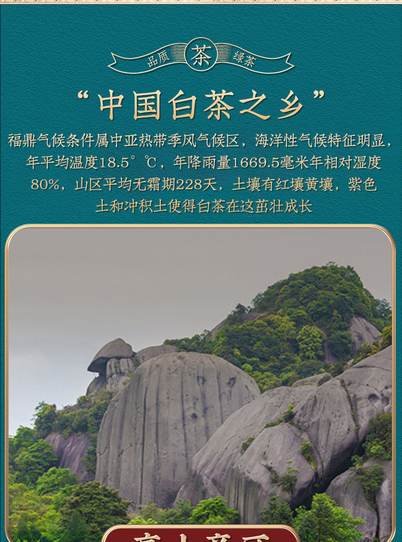 White Hairs Silver Needle Fuding White Tea Spring Tea Ming Qian First Pick 50g