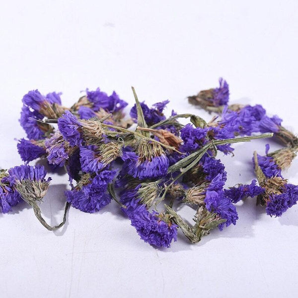 Organic Dried Myosotis sylvatica Flower tea Forget-me-not Naure Flower Tea