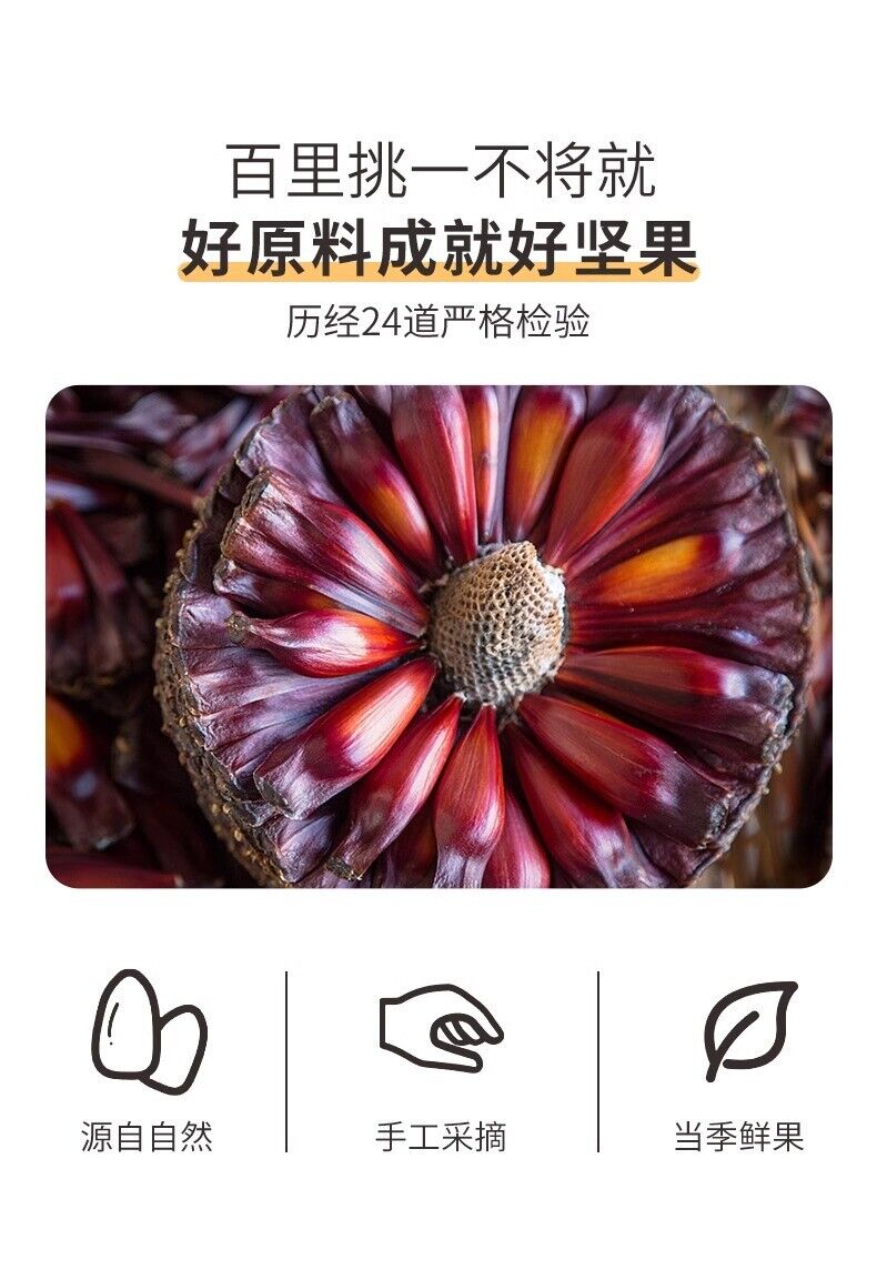 Large Pine Nuts 2024 Fresh Hand-Picked Healthy Nut Snack