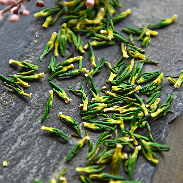 High Quality Lotus Heart Herb Health Dried Lotus Heart 500g