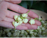 New Buds Jasmine Tea Flower Pod Tea Jasmine Dried Flowers Fresh Scent 30g