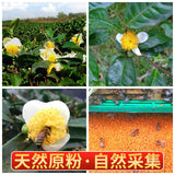 200g Yunnan Source Selected Granular Pu'er Spring Tea Pollen Soil Specialty