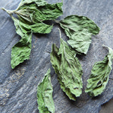Peppermint Leaf Tea Top Grade Herbal Mentha Leave Refreshing Edible Green Tea